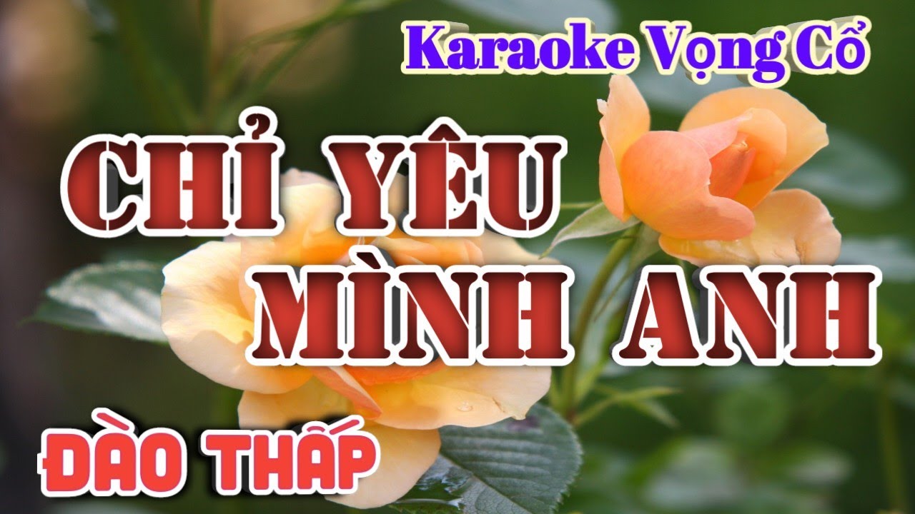 Karaoke Chỉ Yêu Mình Anh - Dây Đào Thấp - Tác giả : Nguyễn Hữu Nghĩa