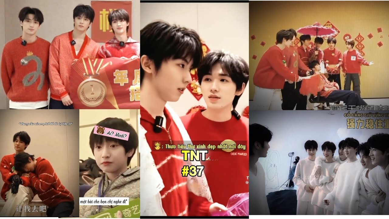 [TikTok] TNT #37| Đi show là phụ tấu hài là chính của 7 anh em hồ lô #tnt #thờiđạithiếuniênđoàn
