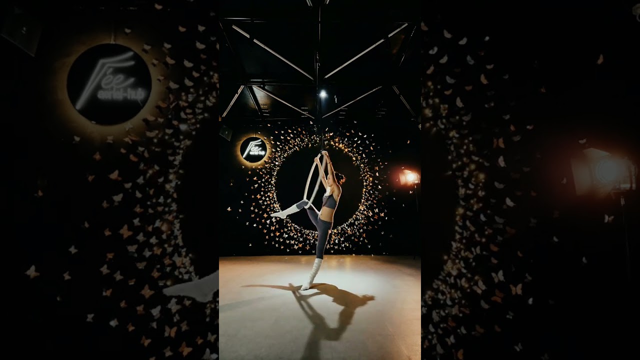 Aerial Lyra Hoop | Apologize (Timbaland)