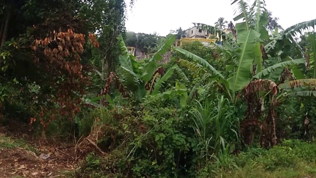 SALE: Land in Padmore Red Hills Jamaica