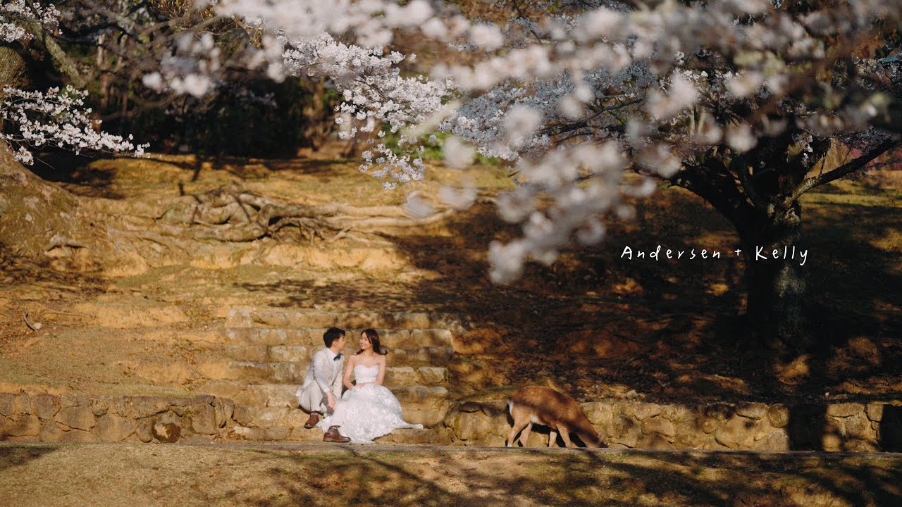 [ Pre-Wedding 婚紗側錄 ] ｜Andersen+Kelly #奈良