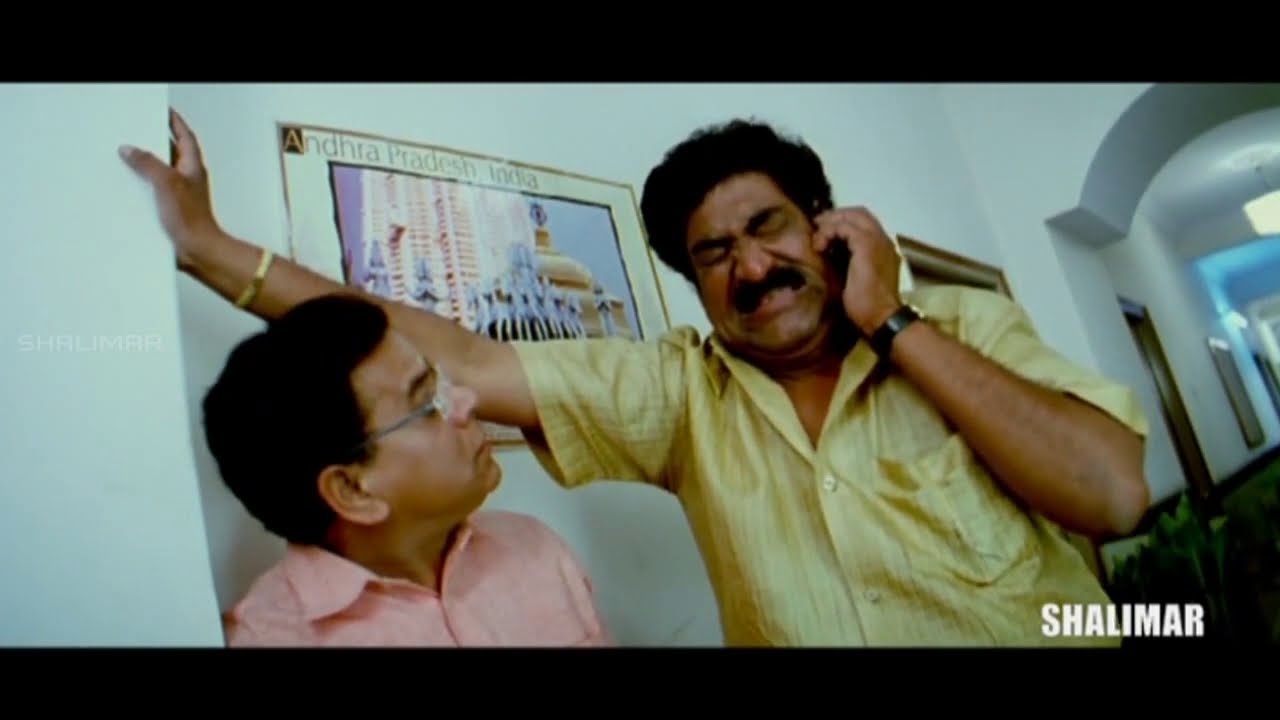 Genelia & Ananth Babu Extraordinary Comedy Scene || All Time Hit Comedy Scenes || Shalimarcinema