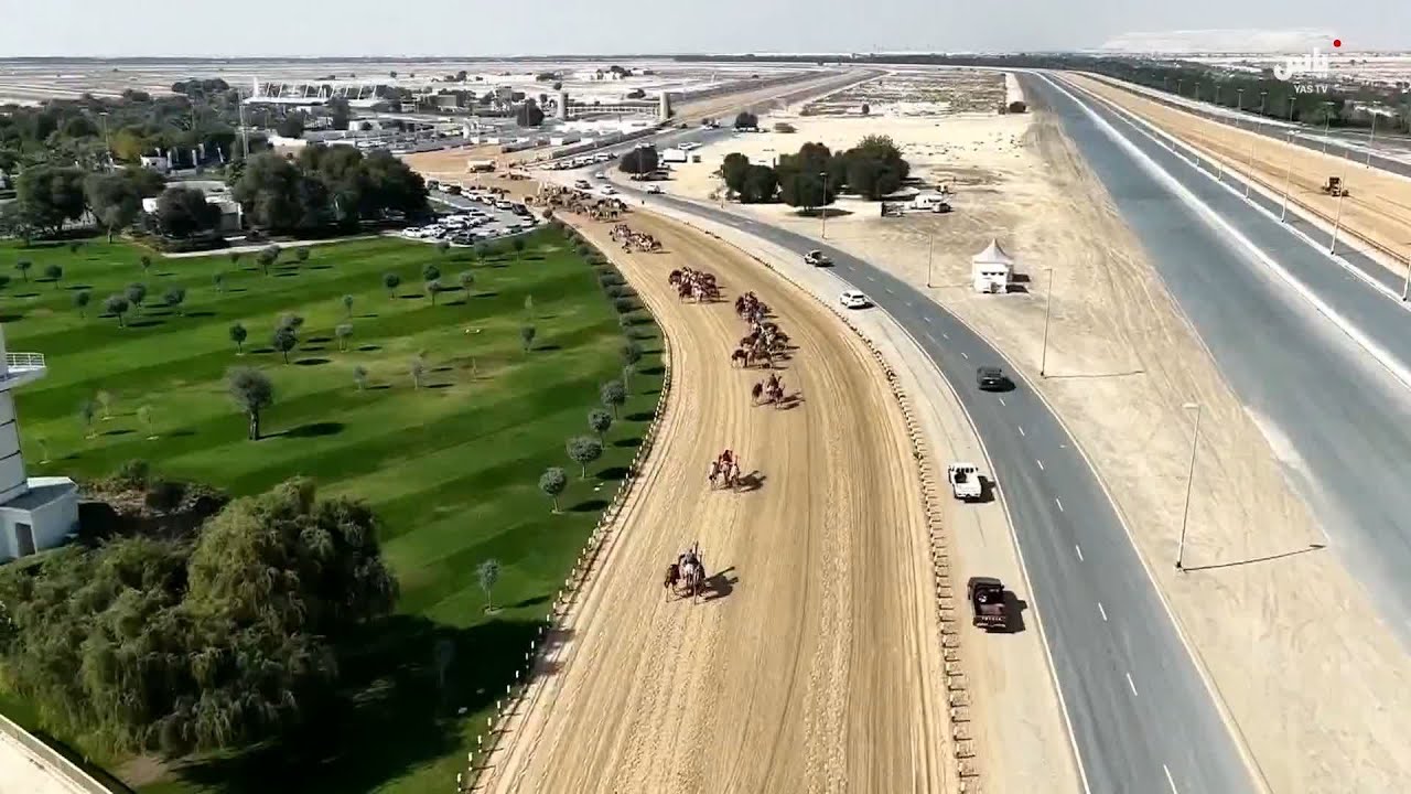 رسالة مهرجان ولي عهد دبي للهجن - 20 يناير 2026
