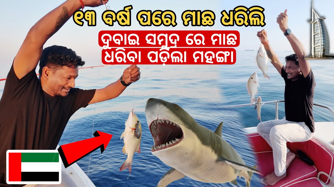 ଦୁବାଇ ସମୁଦ୍ର ରେ ମାଛ ଧରିବା ପଡ଼ିଲା ମହଙ୍ଗା || Fishing at Dubai sea #mutraveller