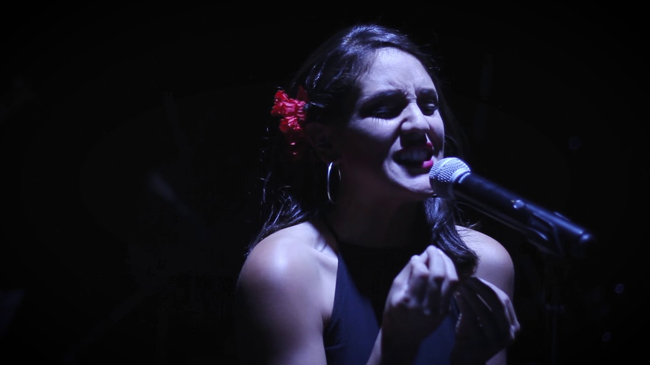 Ensamble de Luz - The News (en vivo)