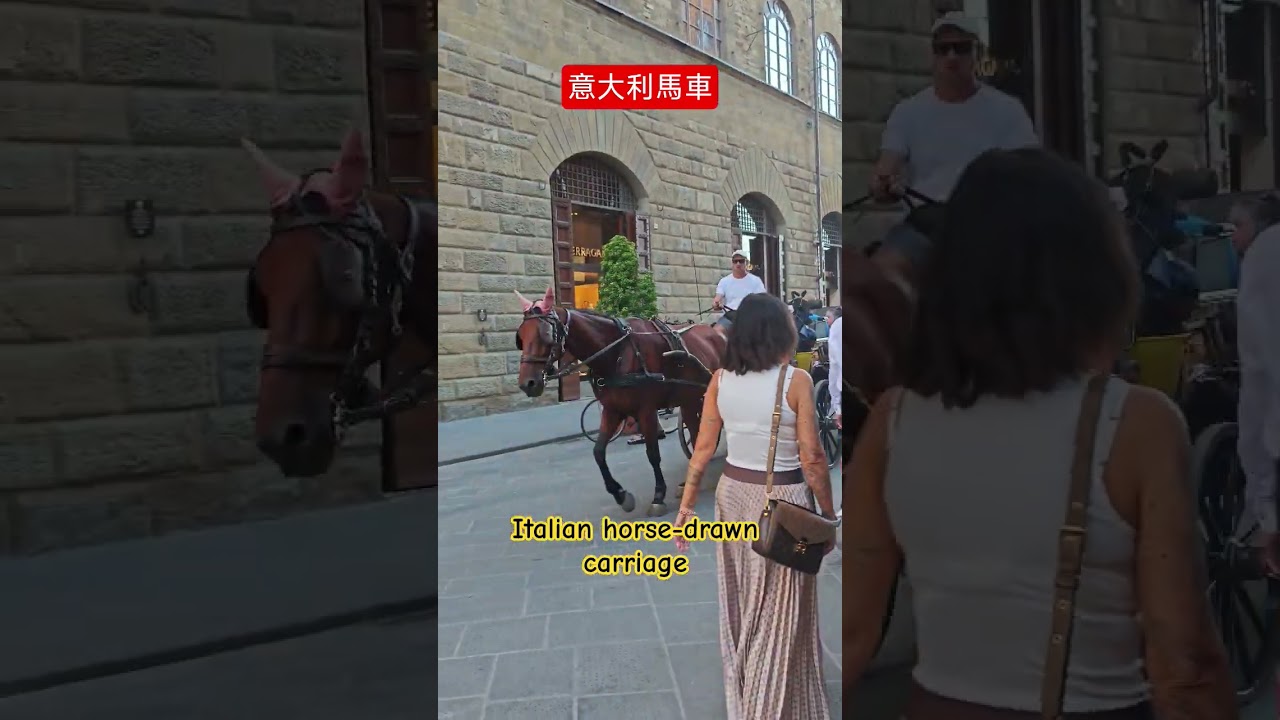意大利馬車 Italian horse-drawn carriage@BillyLauGuide