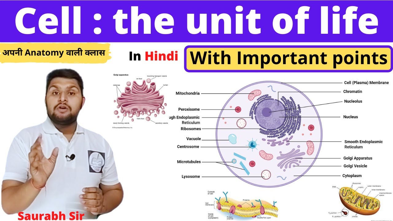 Cell || the basic unit of life ||For Neet ||Nursing||Medical|| Pharmacy
