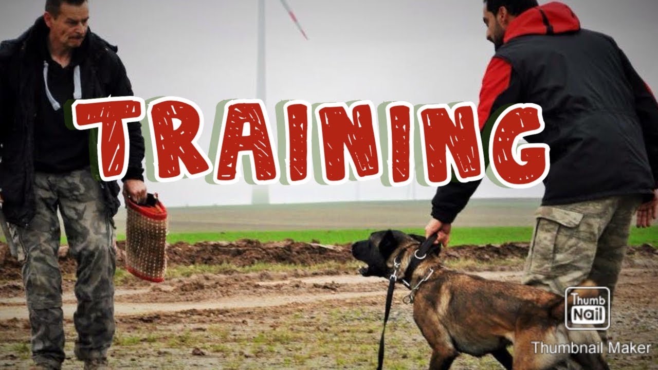 Training 2
