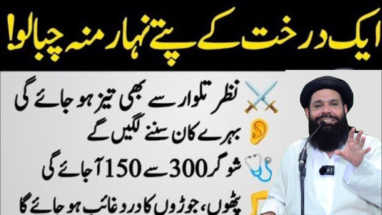 Best Urdu Quotes | Quotes About life | Rumi Quotes | Sunheri Golden Words | Ubqari | Tasbeeh Khana |
