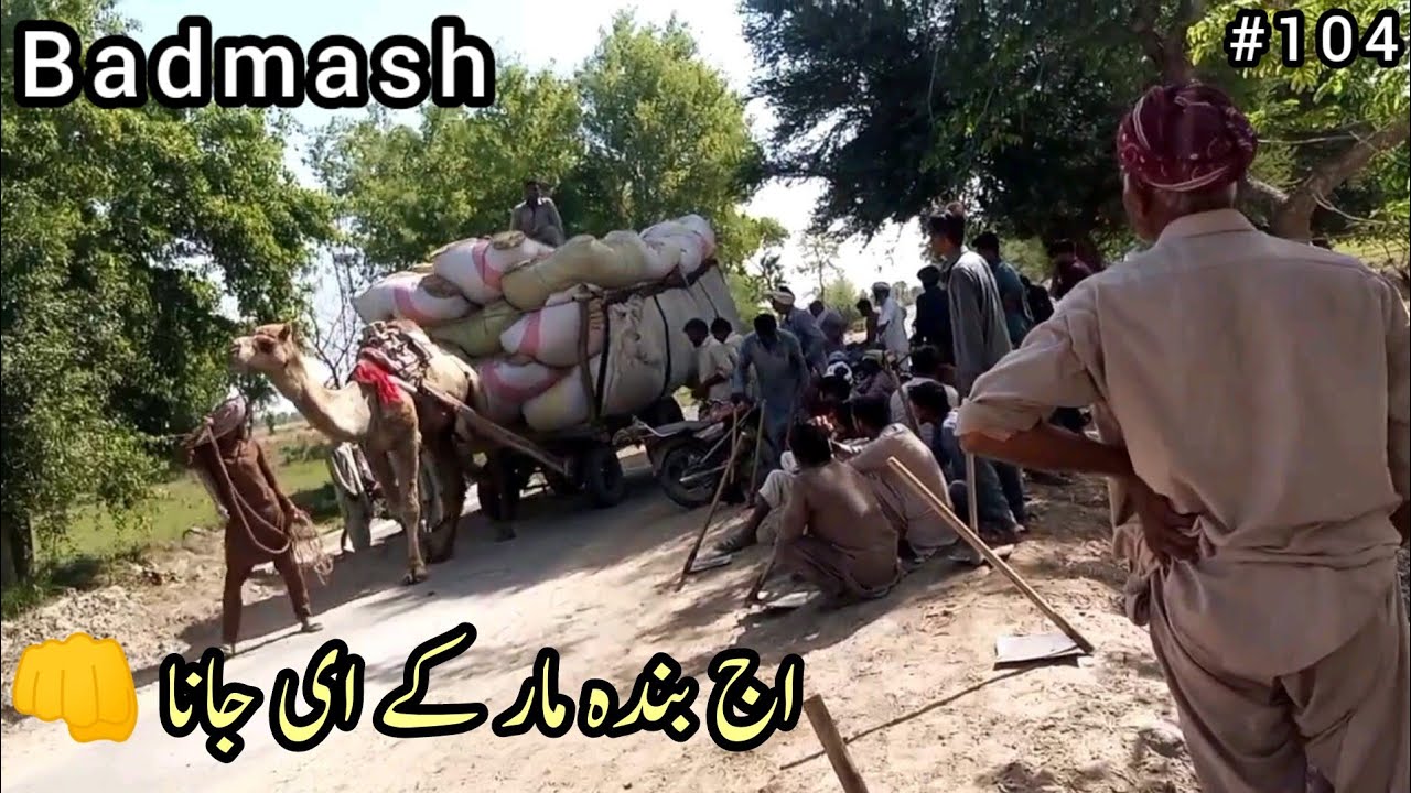 New Viral Video Super Hit | Pakistan Village Life Vlog | #vlogpakistan #pakistanvillagelife