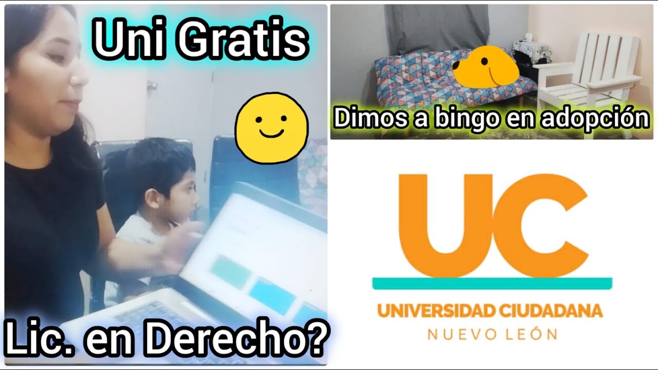 BINGO SE FUE?? 🐶🥲 + YA VOY A ESTUDIAR?? 😱🖥️  #perdón #adopcionresponsable #derecho