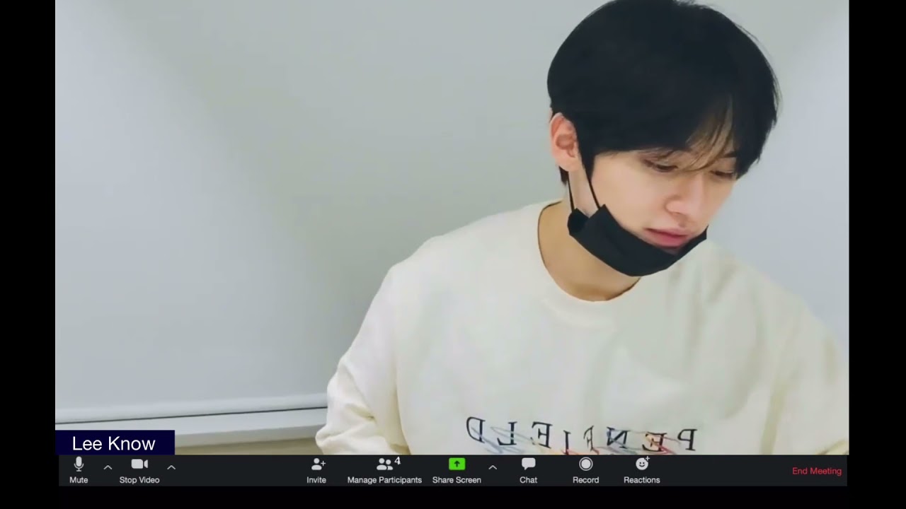 Stray Kids Lee Know Zoom Study | no music, white noise [1 HOUR]