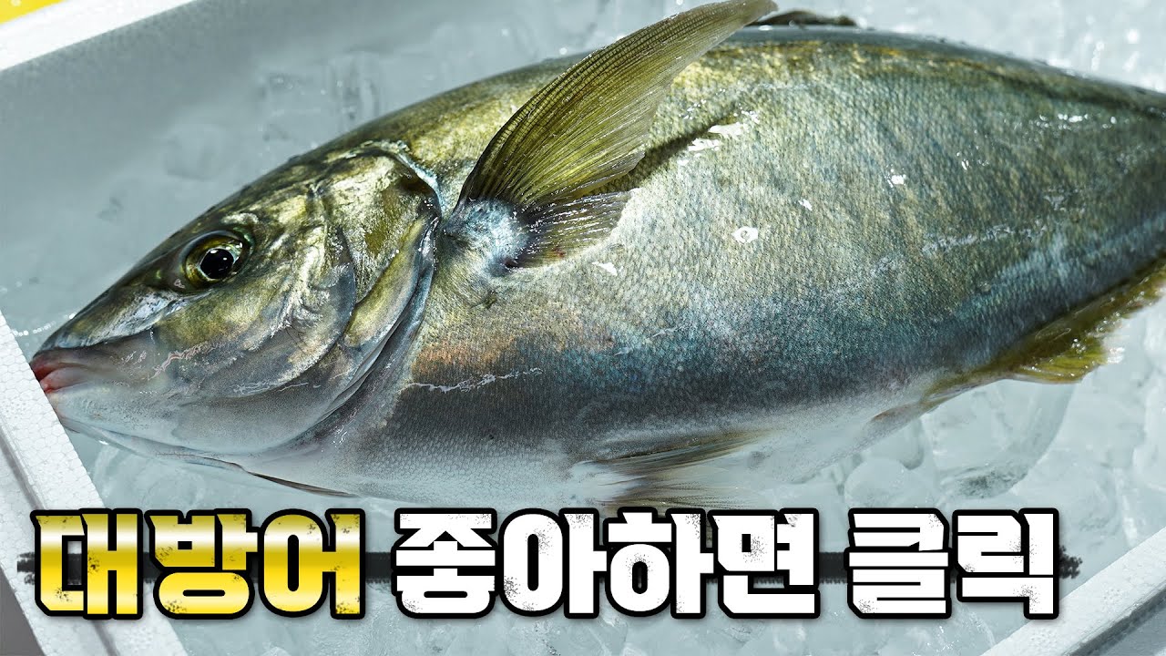 방어보다 맛있는 여름 제철 회, 흑점줄전갱이(시마아지)