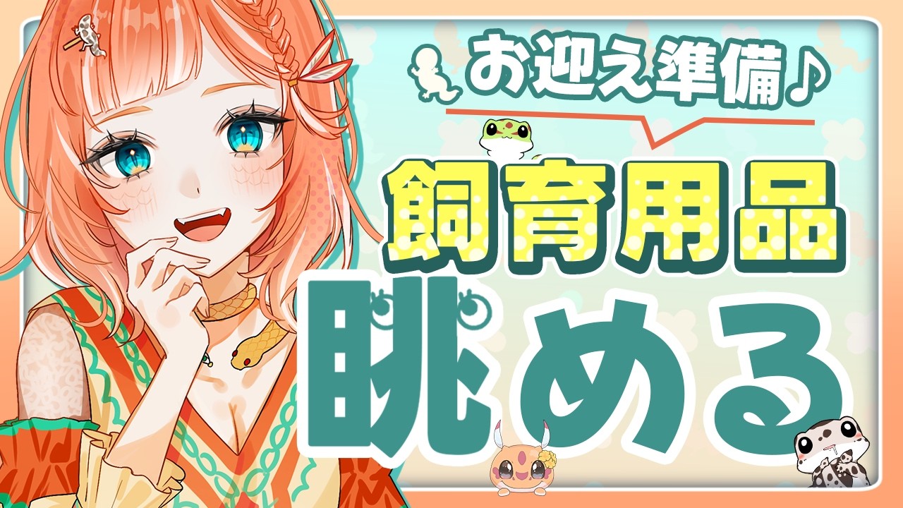 【#雑談】爬虫類用品のネットサーフィンしながらまったりお話しましょ♪ #初見さん大歓迎 【森の探検家VTuber🦎】