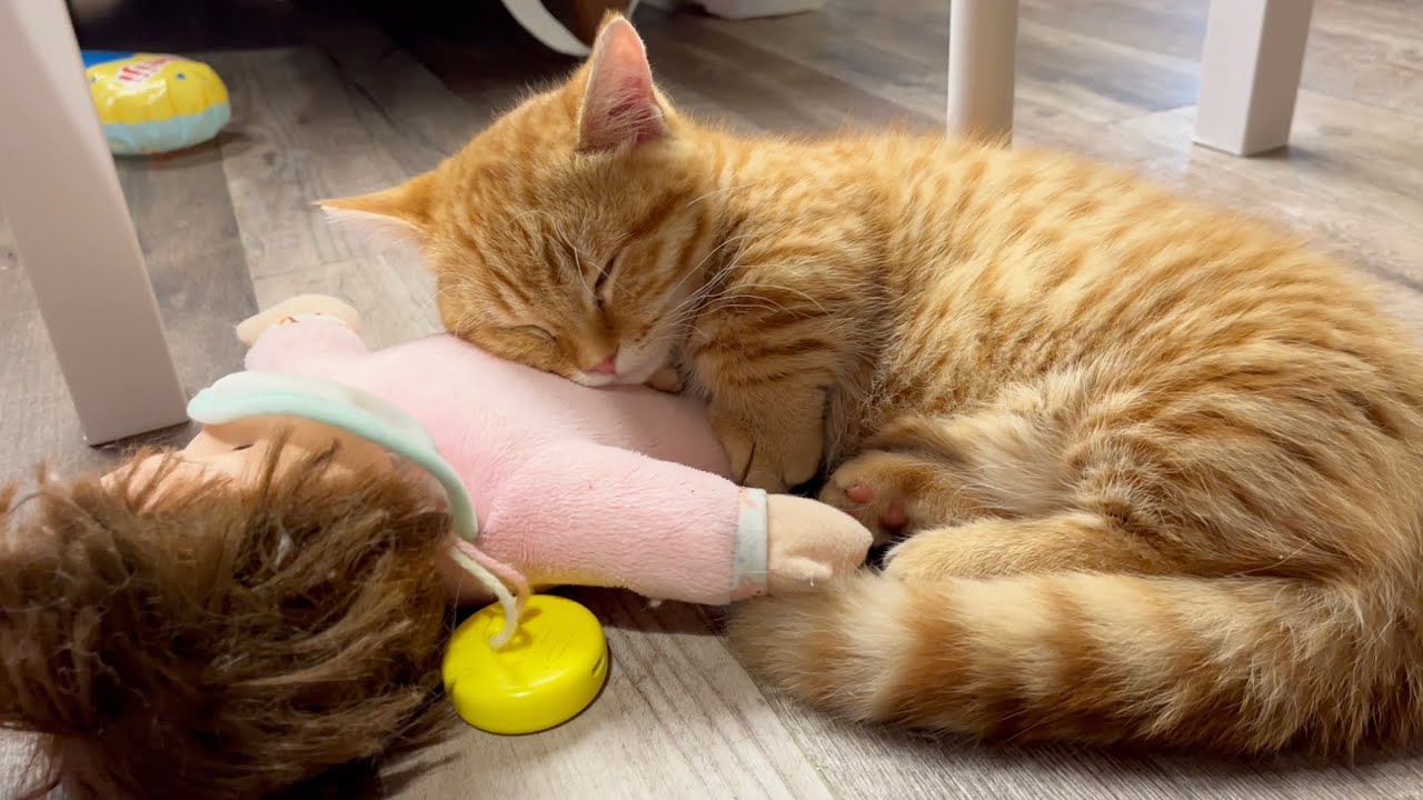 『この子、暖めてあげなきゃ❣️』