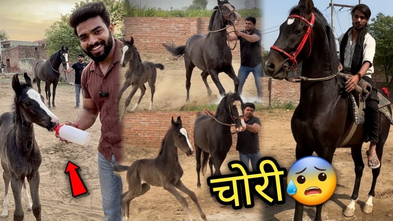 Jaise Hi Raftaar Ki Beti Ko Kundan Se Chori Kiya Socha Nahi Vo Aisa Dance Karegi 😨Bihari Babu agye 🔥