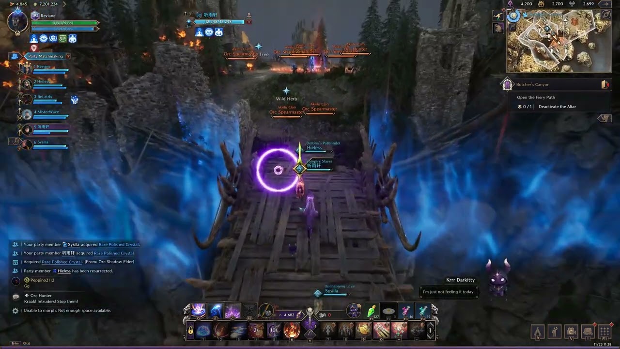 Throne and Liberty - Butcher's Canyon Dungeon
