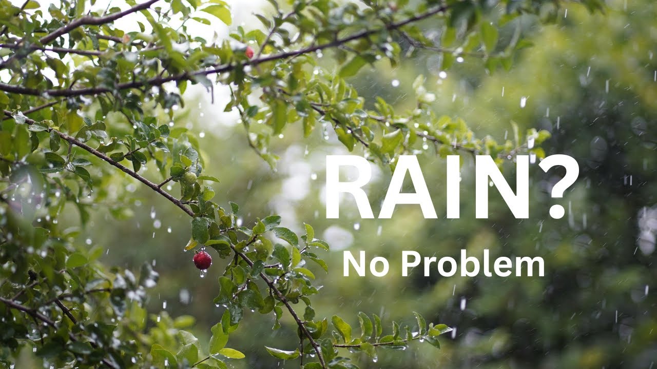 Rainy Day Camping Hacks from the Scouts!