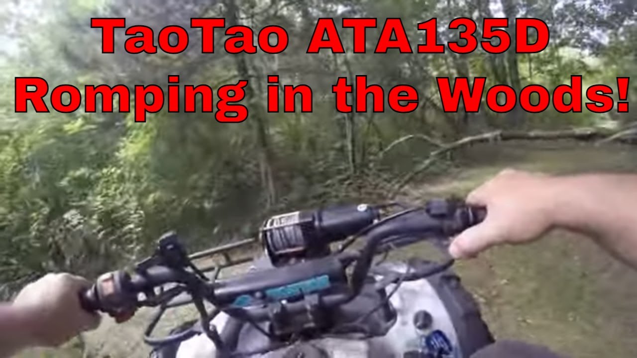TaoTao ATA 135D, 2nd Mega Deal ATV, Inspection, Cold Start and Romp!