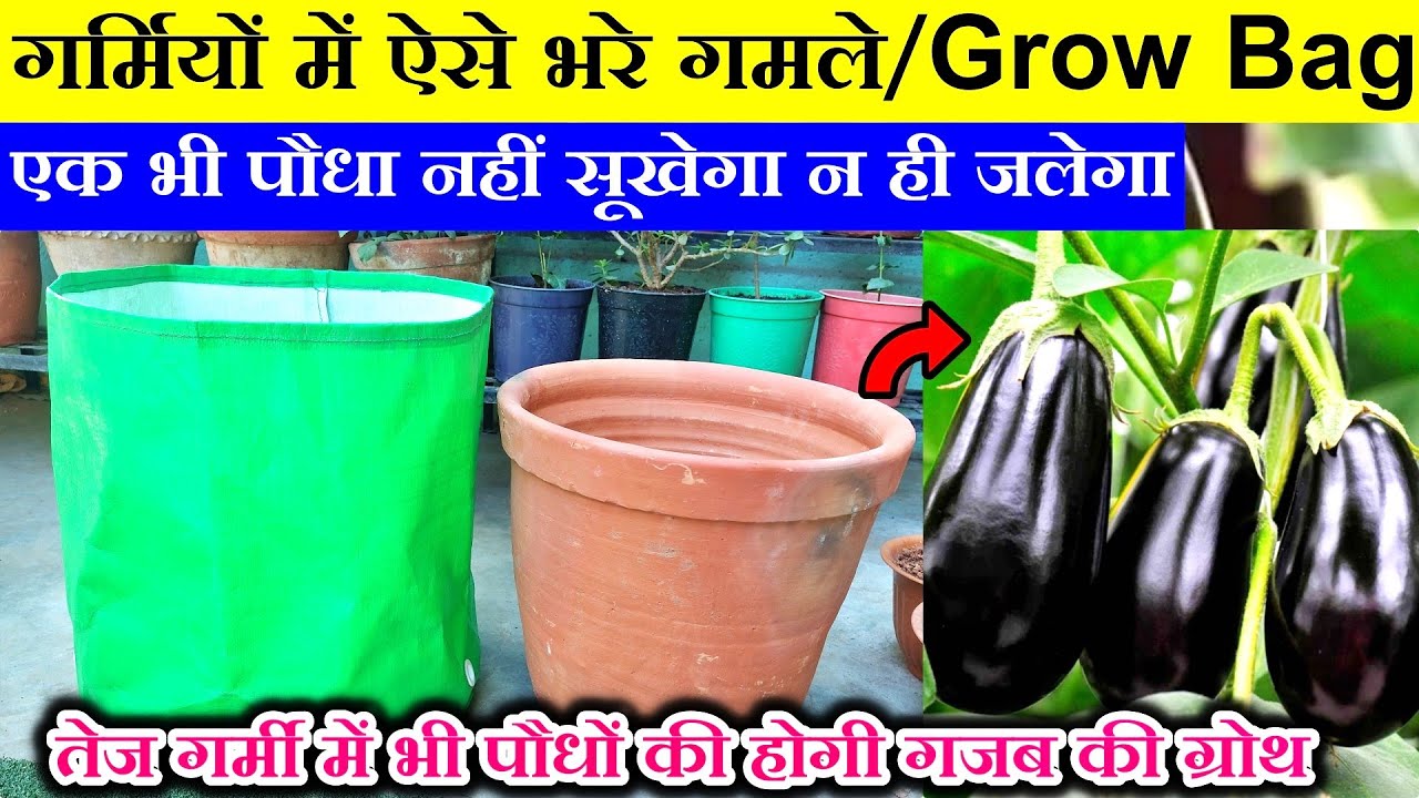 गर्मियों की सब्जियों के लिए मिट्टी कैसे तैयार करें| Best potting mix for Vegetable Garden in Hindi