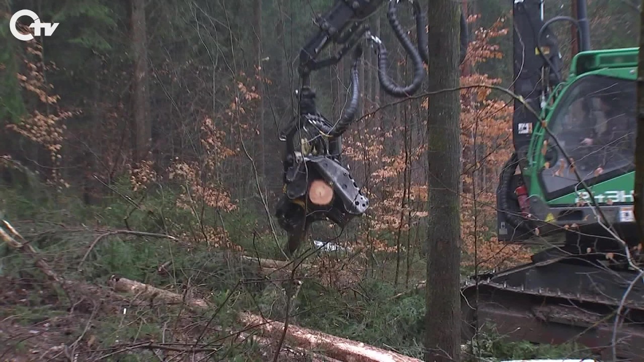 OTV Bericht: Waldpflege Obere Wagensass – Sperrung für Spaziergänger
