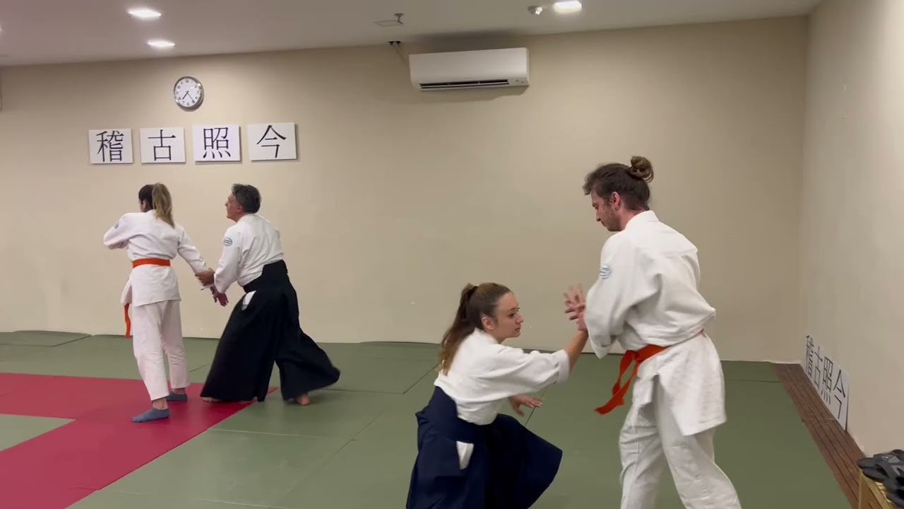 Aikido İstanbul | Yetişkin Aikido Dersleri | Bakırk&ouml;y Aikido Dersleri | www.aikidoistanbul.com.tr