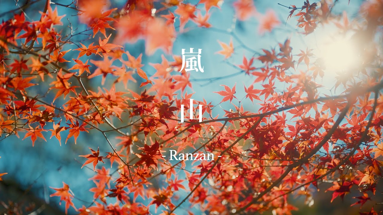 【癒し・4K風景動画・vlog】嵐山の秋 -紅葉と静寂に包まれた絶景- | NikonZR