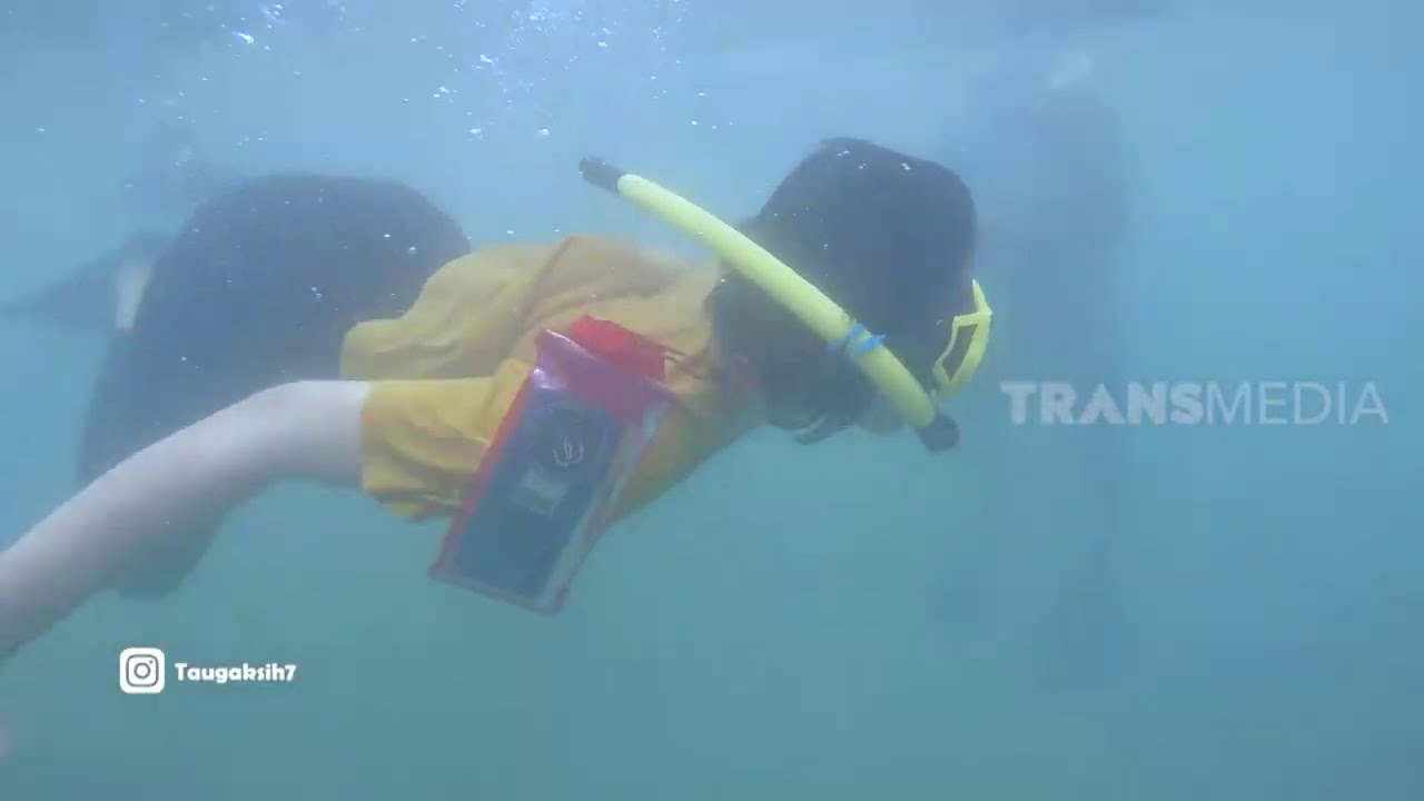 Menikmati Pesona Bawah Laut Pantai Timur Pangandaran | TAU GAK SIH (02/02/21)