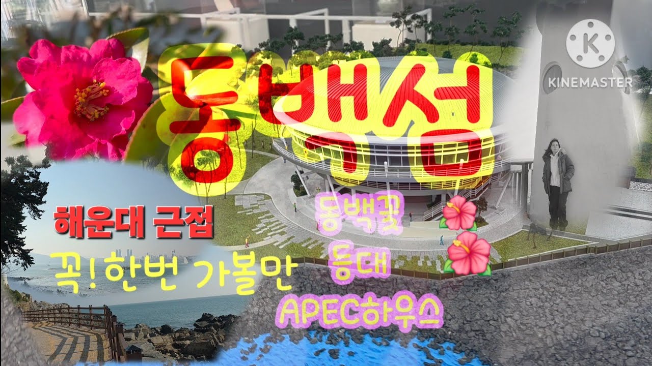 #부산여행 망설일때 가볼 명소 / 해운대와 근접해 함께 둘러볼수 있는곳 #동백섬 #국내여행 #추천여행지 / 동백꽃 해안구경 APEC하우스 등대 