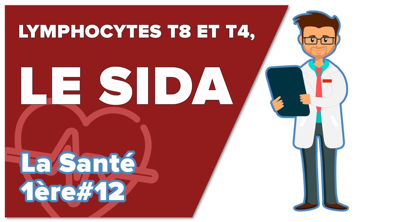 Immunité adaptative 5 :  Lymphocytes T8 et T4, Le SIDA - SVT - SANTÉ 1ère spé #12 - Mathrix