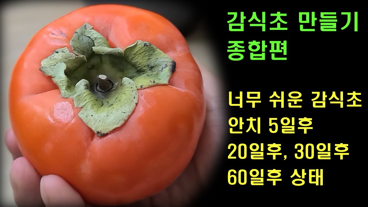 감식초 만들기 처음부터 끝까지, 시기별 발효상태, 정점찾기 및 보관방법