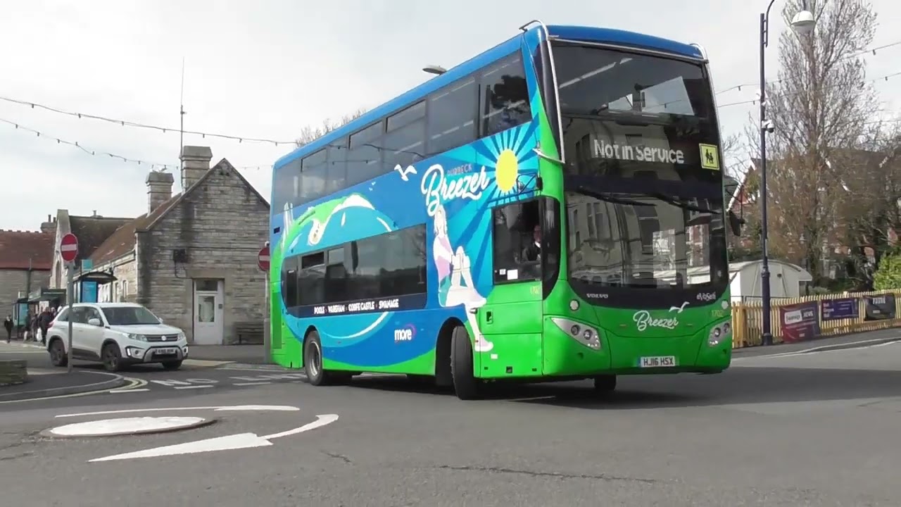 A day on the Isle of Purbeck 22nd March 2025