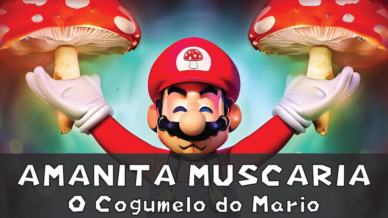 AMANITA MUSCARIA: Tudo sobre o Cogumelo do Mario [+16]
