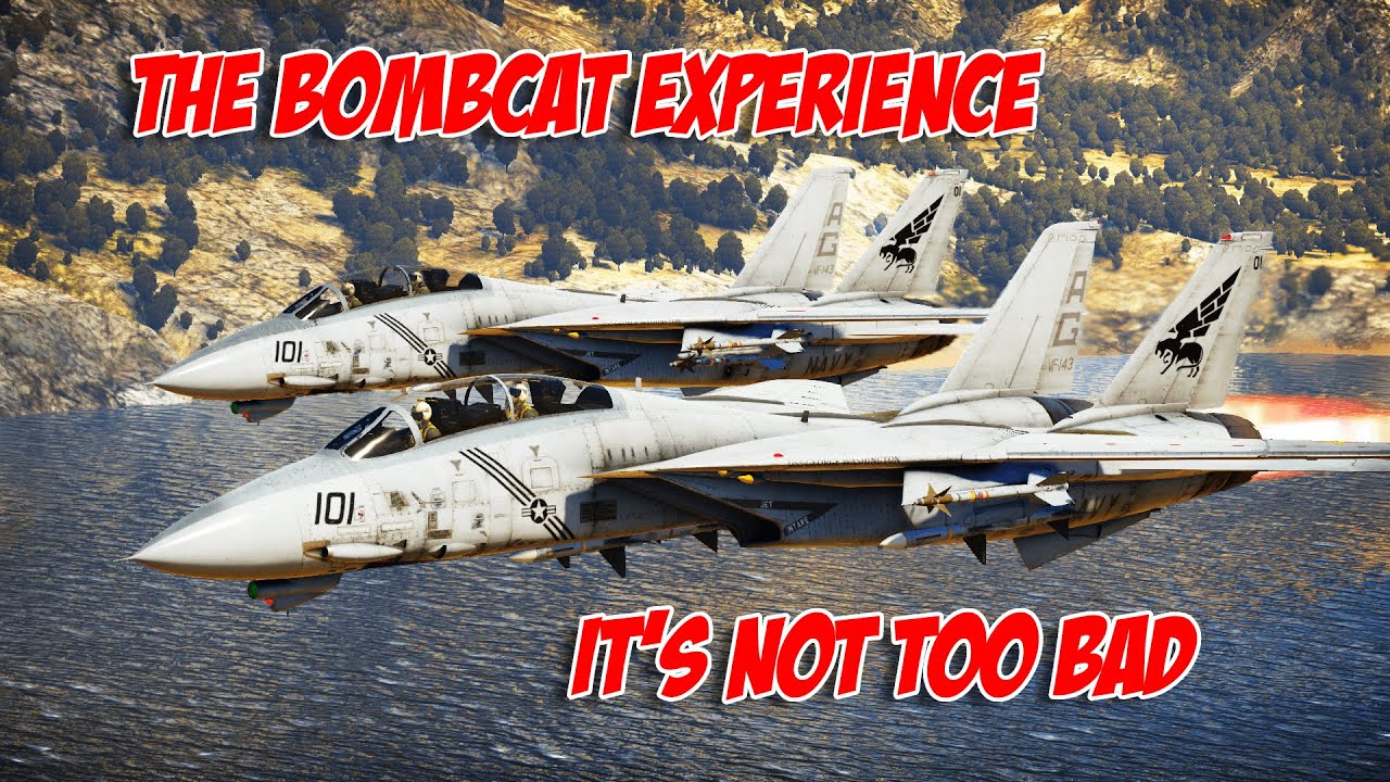 The F-14 BOMBCAT EXPERIENCE | War Thunder