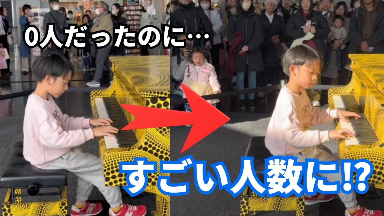 ハリーポッターのヘドウィグのテーマHarry Potter  Hedwig’s Themeを都庁のピアノで弾いてみた