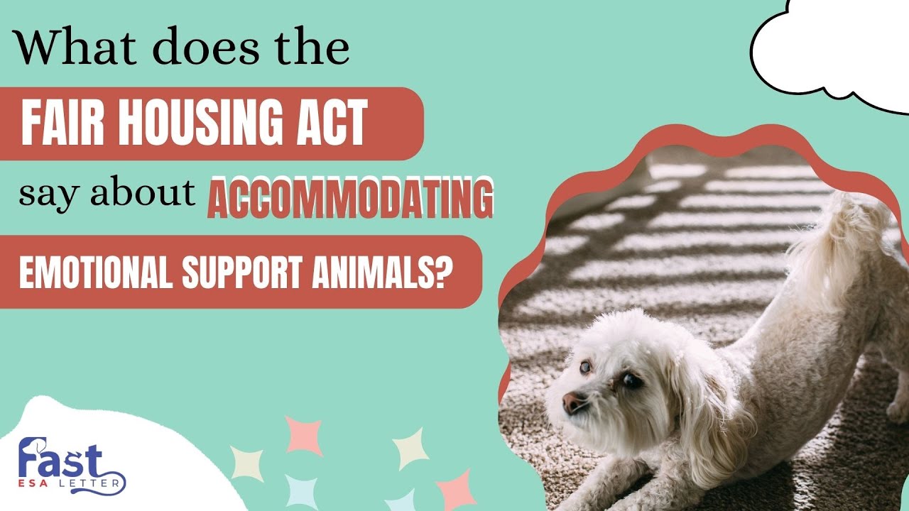 What Does the Fair Housing Act Say about Accommodating Emotional Support Animals?