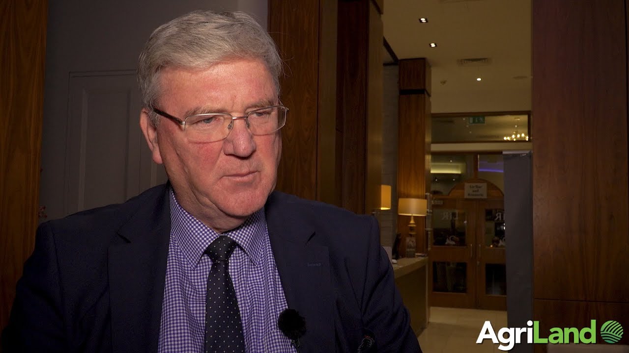 'Beef farmers have to take control of their own market'