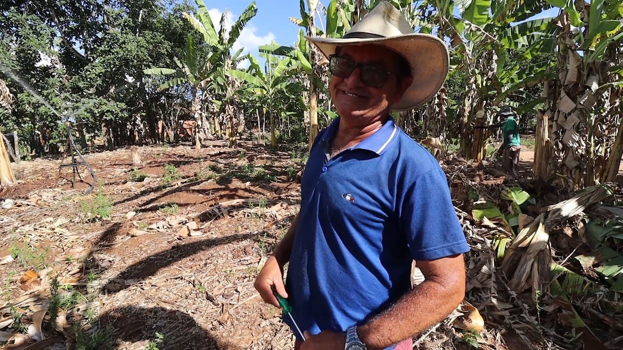 PLANTANDO BATATA E IRRIGANDO COM O POÇO ARTESIANO + MUITA CHUVA