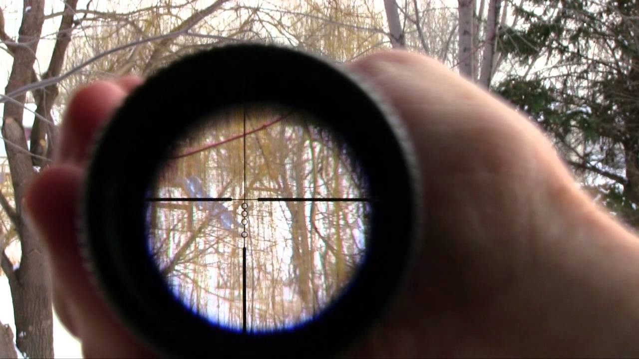 Nikon Buckmaster 3-9x40 Rifle Scope - Unboxing and Review