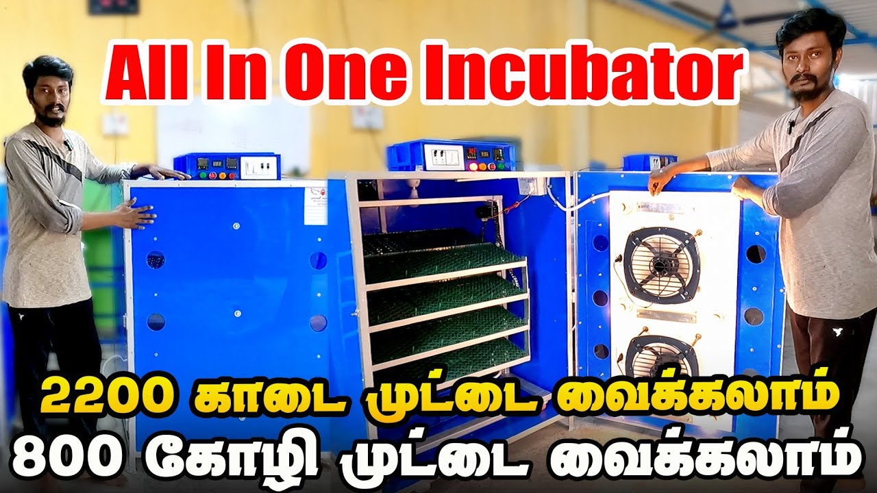 2200 காடை முட்டை வைக்கலாம் அல்லது 800 கோழி முட்டை வைக்கும் incubator | All In One Incubator