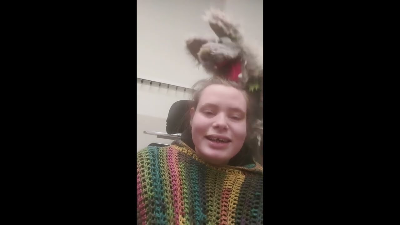 MEINE AGRESSION GEGEN DIE HANDPUPPEN