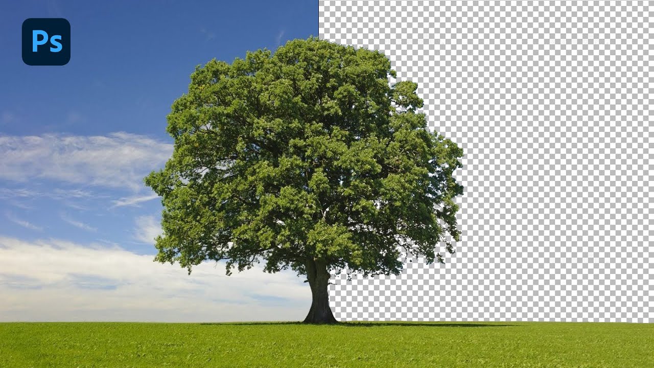 How To Remove a Complex Background in Adobe Photoshop |Photoshop |Photoshop tips