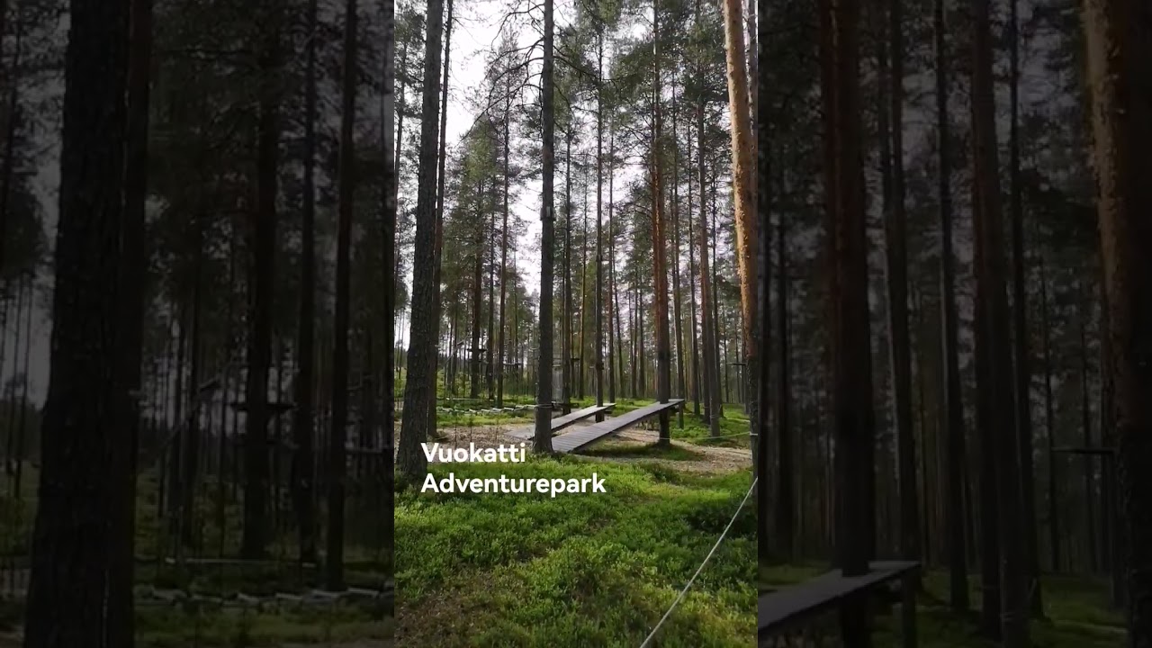 Vuokatti Adventurepark. June 2025 