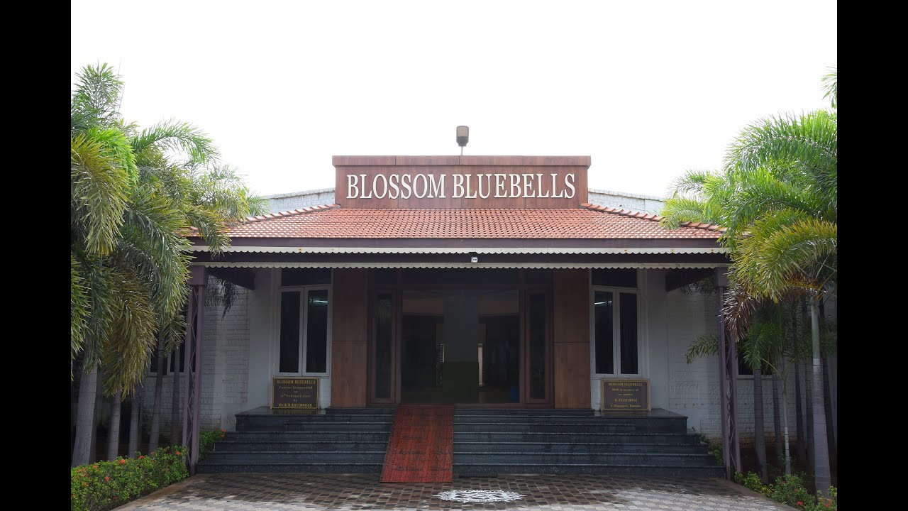 Blossom Bluebells Academy - CBSE School
