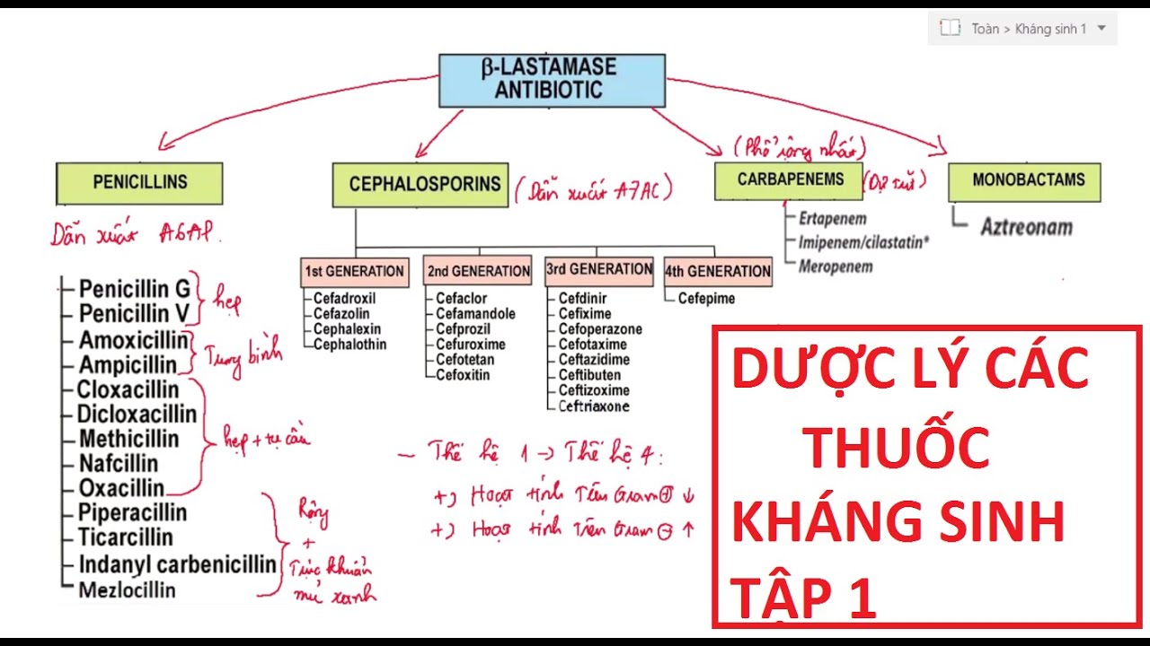 Dược Lý Kháng Sinh, Các Thuốc Tác Động Lên Thành Vách Vi Khuẩn.