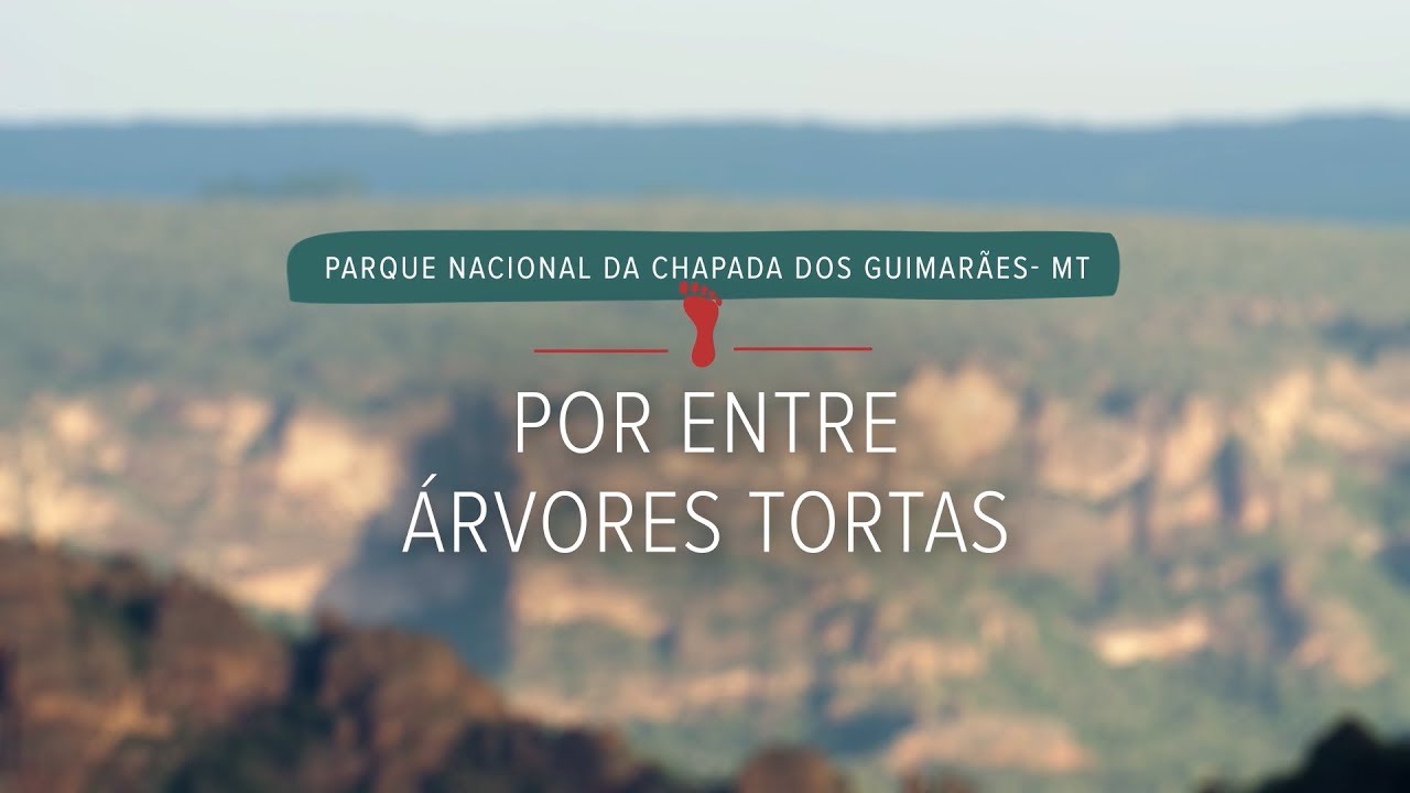 Por entre &aacute;rvores tortas | Parque Nacional da Chapada dos Guimar&atilde;es (epis&oacute;dio 1)