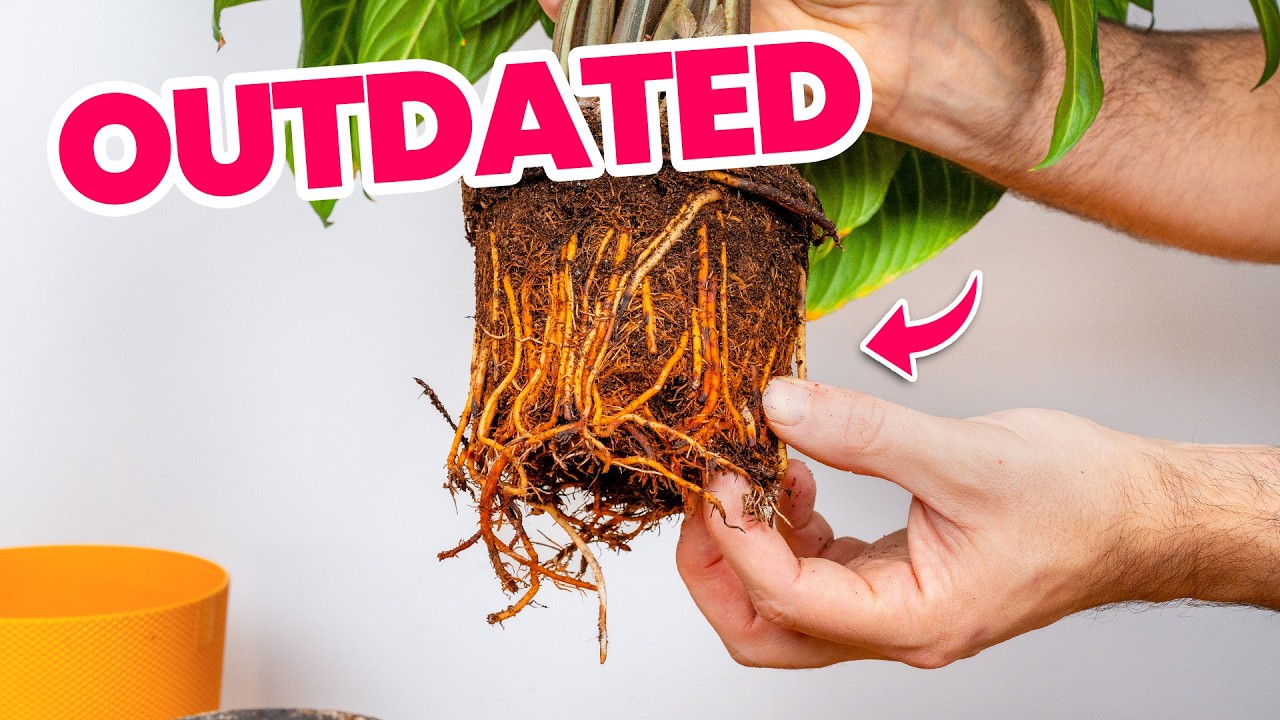 5 Outdated Plant Care Tips to Ditch Now