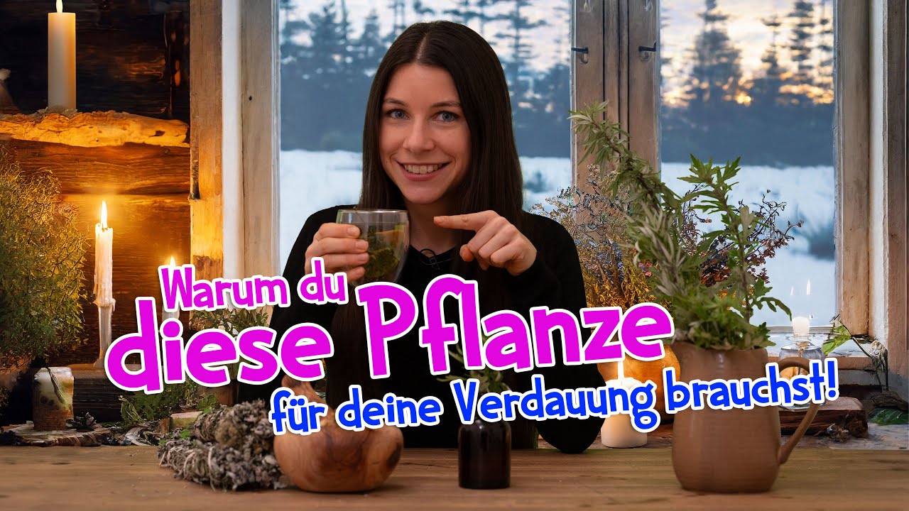 Warum diese Pflanze nach zu viel Essen nicht fehlen sollte! 🌿🎄 #wildkräuter #weihnachten #winter