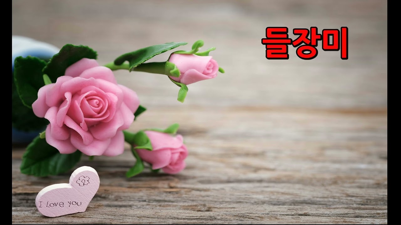 들장미 ♥ (이승준 작사 / 송택동 작곡 / 최승란 노래 ) 가곡
