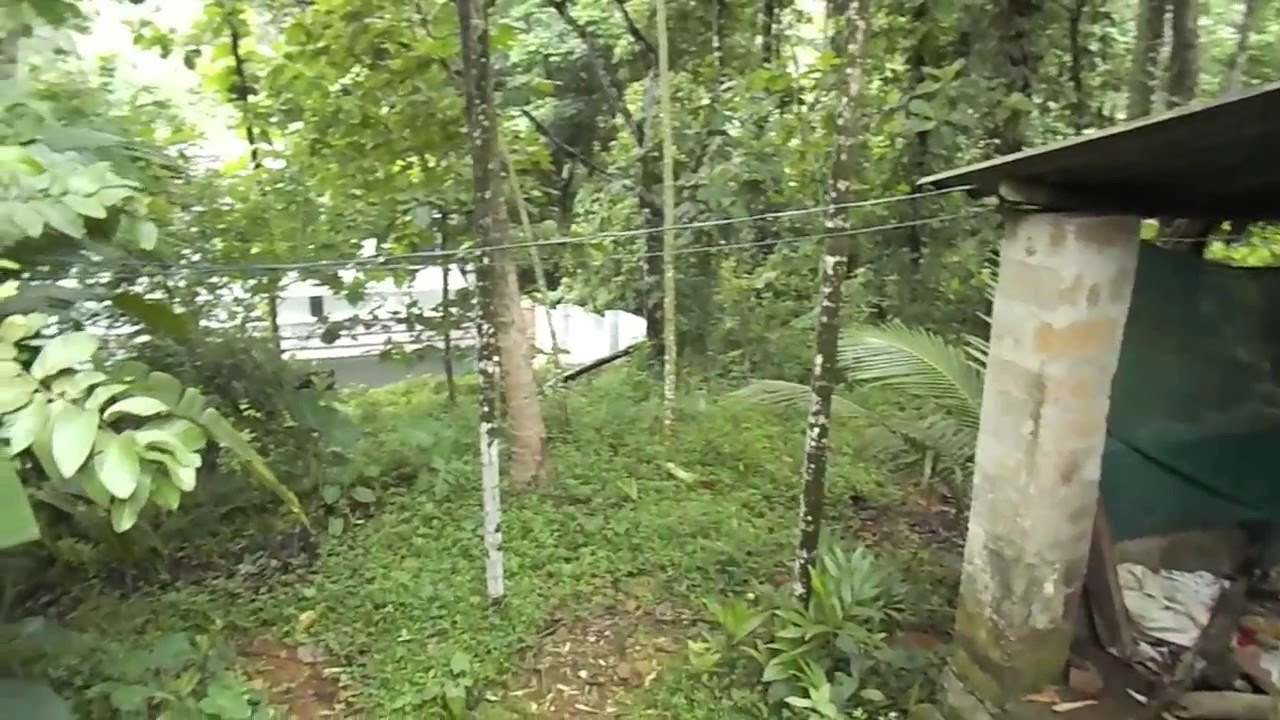 Erattupetta   Poonjar route